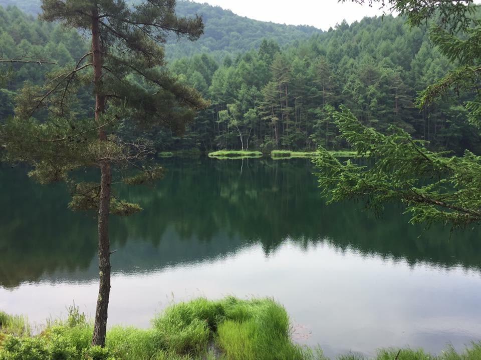 白樺湖榮園 호텔 치노시 외부 사진